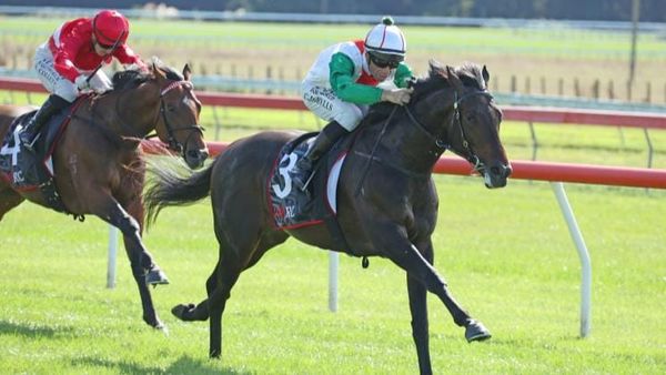 Zame colours to the fore once more