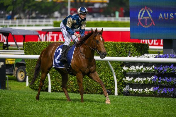 Brown Taking Open Mind Into Jimmy's All Aged Defence