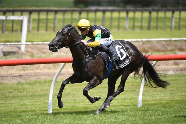 Forsman holds strong hand at Otaki
