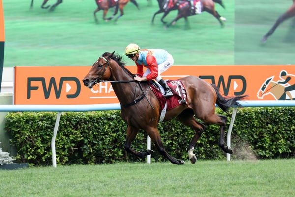 Ka Ying Rising makes it 20 straight