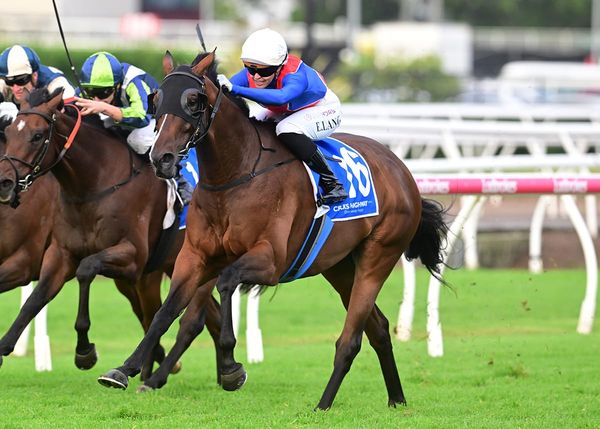 Kronenbourg all the way for Brisbane Handicap upset