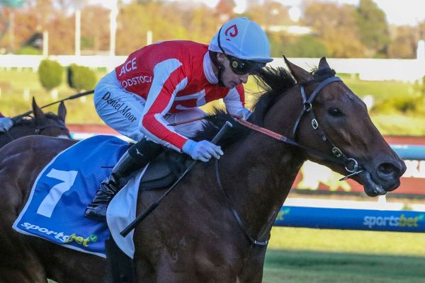 Niance kicks off campaign in Adelaide