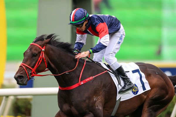 Numbers seeks Group One breakthrough in FWD QEII Cup