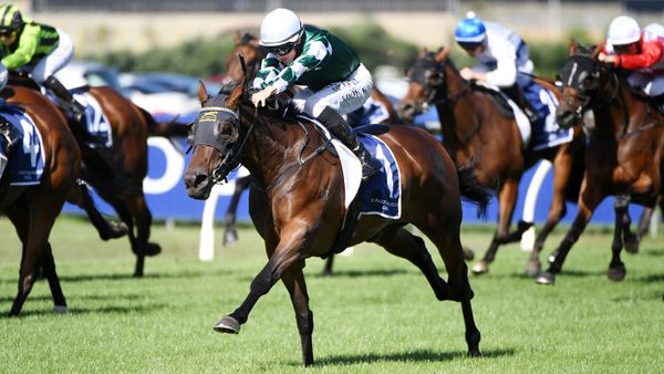 Dual Oaks connection in NZB National Online Yearling Sale