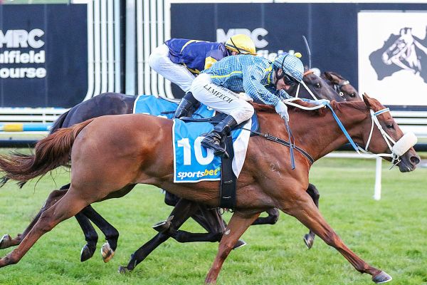 Oceana Dream makes winning Australian debut