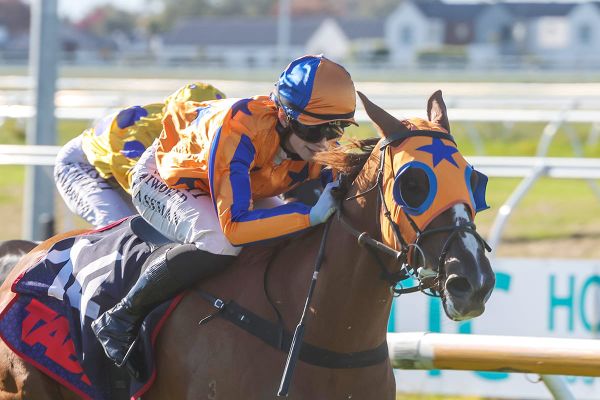 Te Akau taking on Southern Alps Challenge