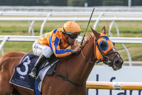 Perlino enjoys Warstep Glory