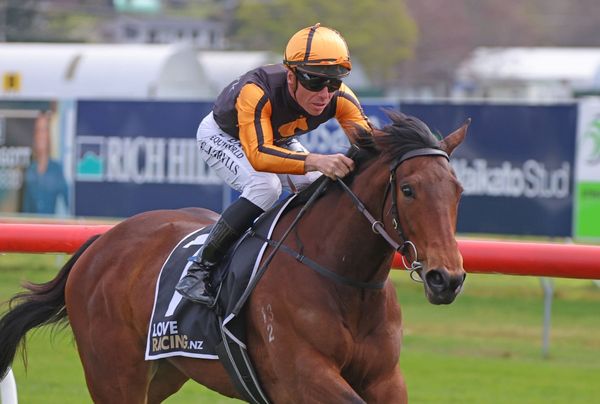 Plan B for Places To Be