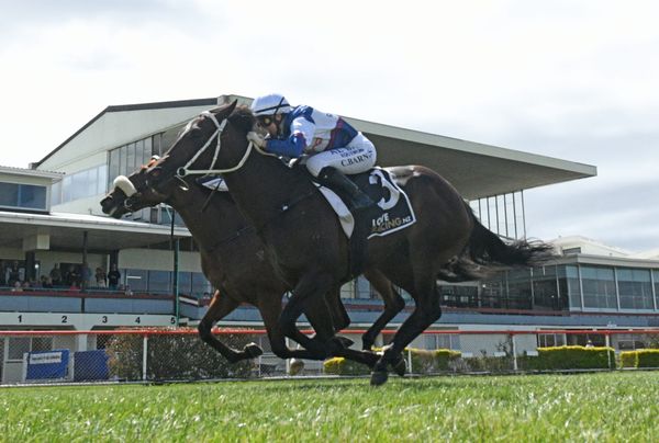 No fear about smart filly coping with more ground