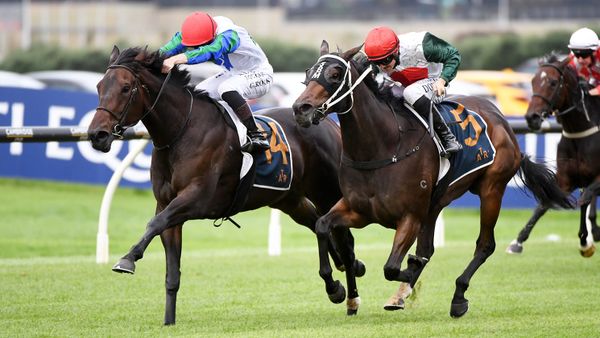 Gold medal for James and Wellwood Filly at Ellerslie