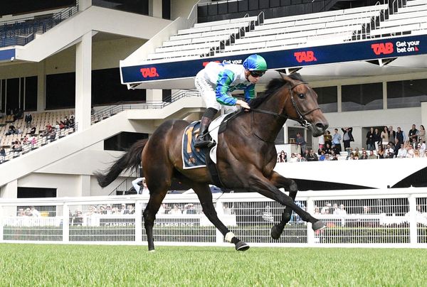 Trainer comfortable with Championship market