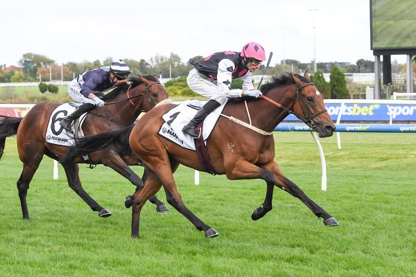 Single Choice books South Australian Derby ticket