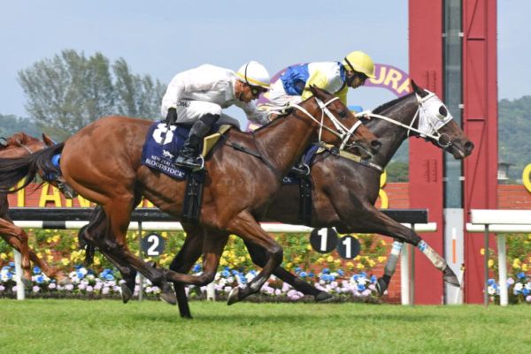 Sir Ruby Reigns in NZB Ready to Run Graduate Cup