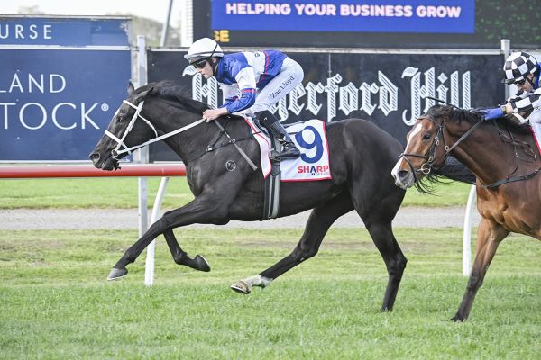 Go Racing assembling strong Melbourne Cup contingent
