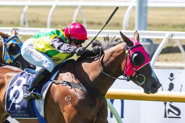 Great Easter Stakes looming for The Radiant One