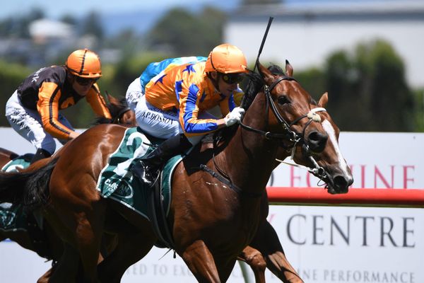 To Bravery Born Hong Kong bound