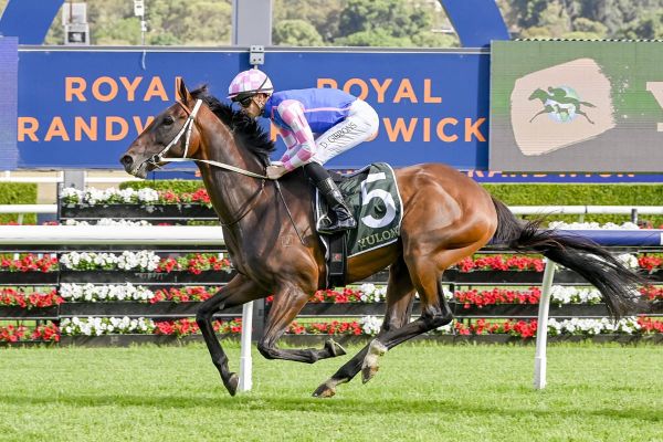 Time' For Lees To Win A Hawkesbury Gold Cup