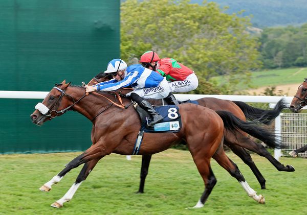 Novara Park secures globe-trotting Group One performer