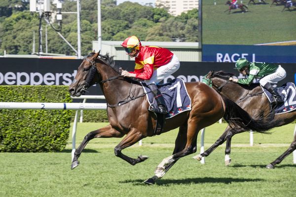 Unique Ambition breaks through at Randwick