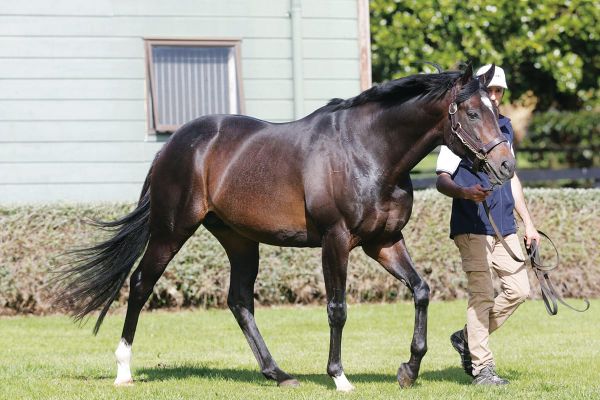 Wrote heads Highview Roster