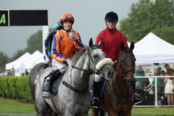 Stablemates ready to stake their claims