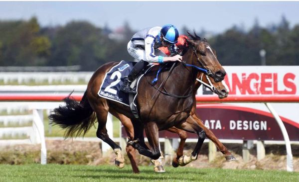 Guy’s rehab talents put to good use ahead of Easter Handicap