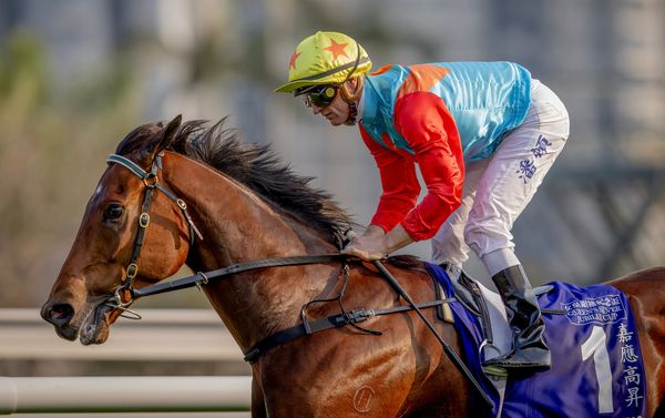 World’s best Ka Ying Rising goes for 19th consecutive win in Monday’s Sprint Cup