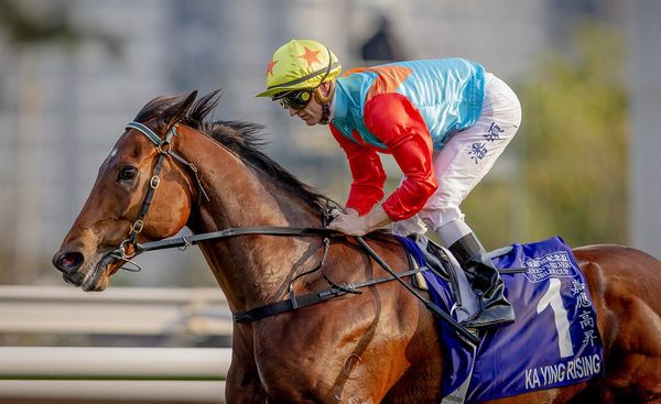 Ka Ying Rising won’t chase track record in G1 Chairman’s Sprint Prize