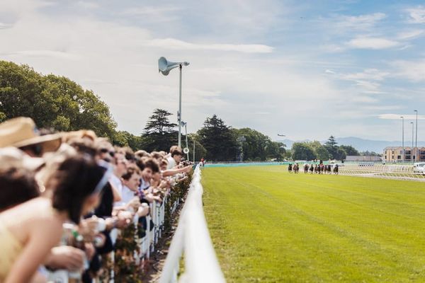 NZTR Releases 2026/27 Racing Calendar