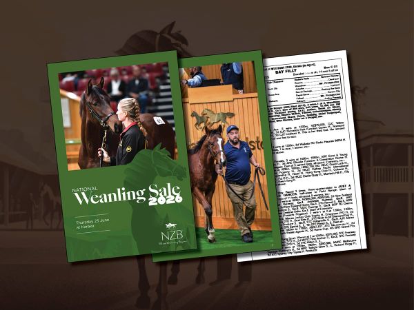 Catalogue Online for National Weanling Sale
