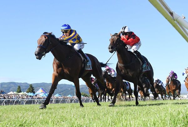 Gray makes long-awaited return to Riccarton