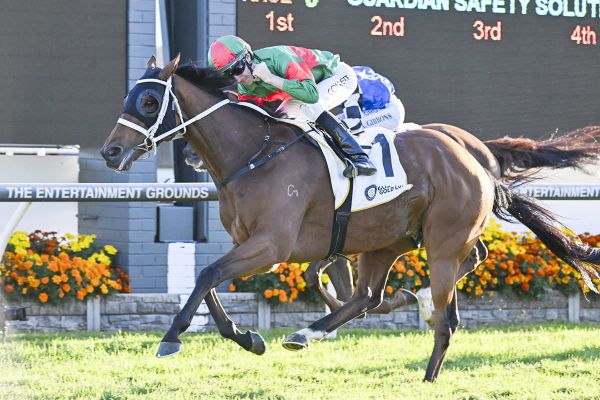 Waller wary of flying Jenni ahead of Cup quest