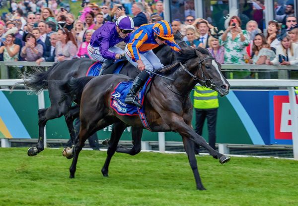 Windsor Park has announced its 2026 stallion roster and fees, headed by Auguste Rodin and Paddington.