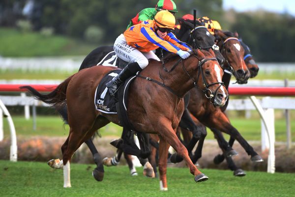 International traveller salutes at Te Rapa