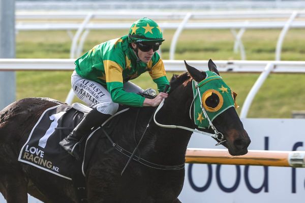 Capo Dell Impero continues winning Riccarton run for Andertons