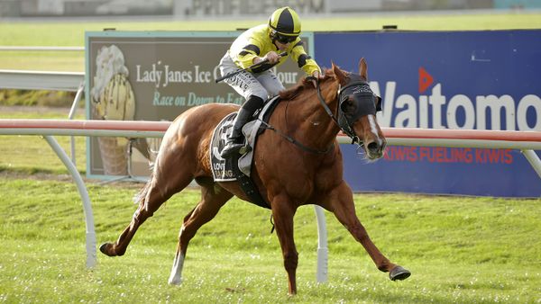 Churchillian too strong in Rotorua Stakes