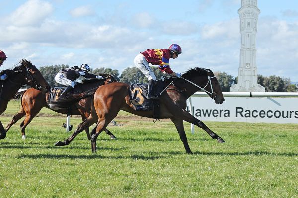 Crosswell impresses on debut
