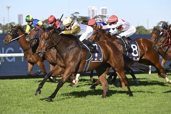 Couples Retreat back to winning form at Rosehill