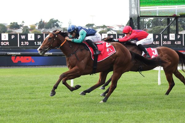 Nolans dine out on Dee Oysters debut win