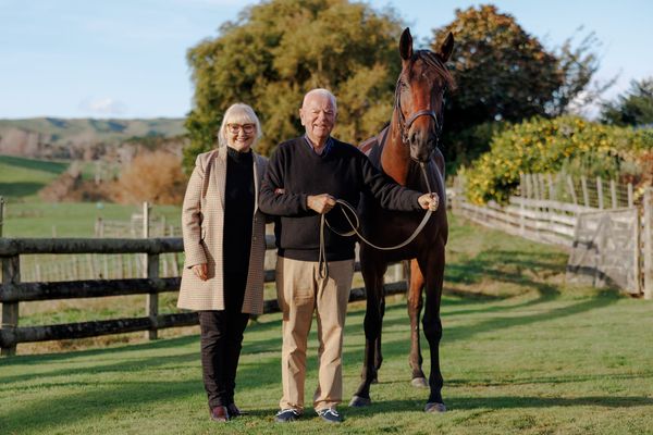 Ellis appointed Knight Companion of the New Zealand Order of Merit