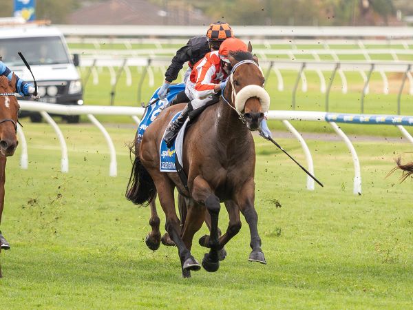 Australian Group One glory for Desert Lightning in Goodwood