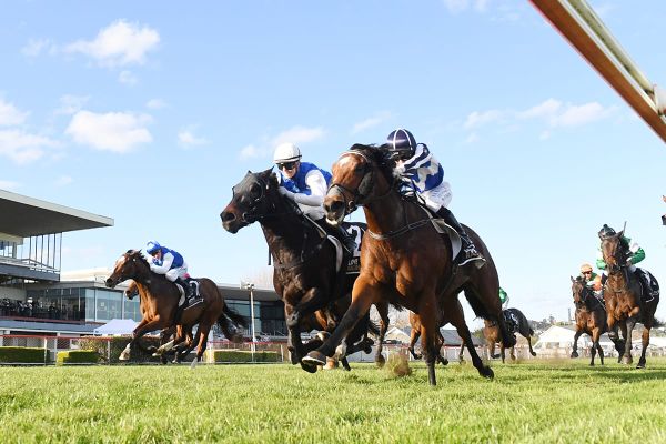 Electron upsets in Wanganui feature