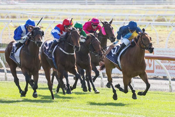 Te Akau’s Champagne Stakes triple threat