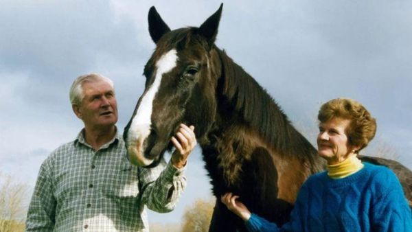Celebrating our influential Broodmares