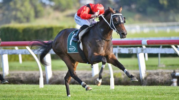 Financier scores satisfying win for Marsh