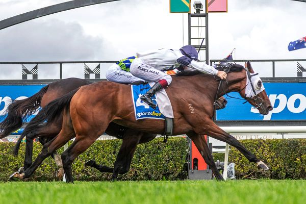 Fringes to the fore in Fillies’ Classic