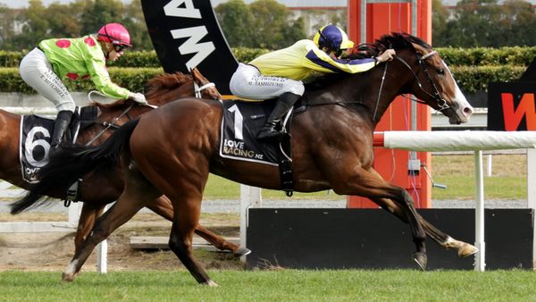General Menari salutes at Te Rapa
