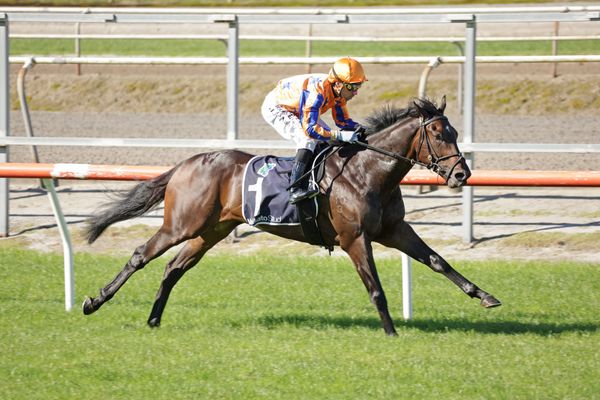 Te Akau score home juvenile quinella