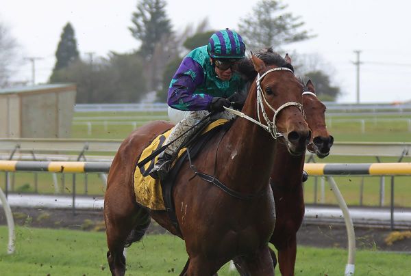 Dravitzki pair to resume at New Plymouth