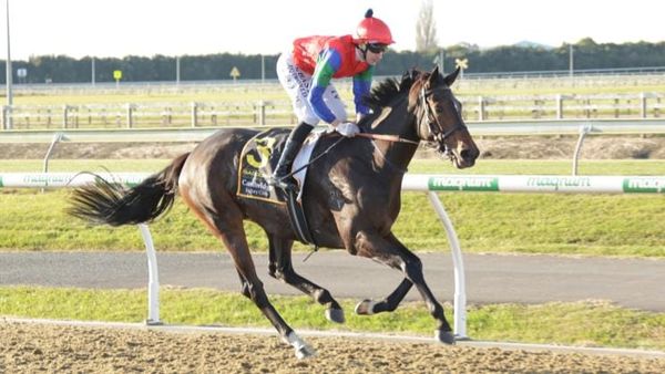 Isdale joins forces with Rogersons